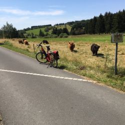 Die bayerisch-thüringische Grenze wird hier mehrfach überfahren