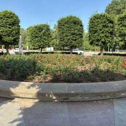 Der Rosenplatz