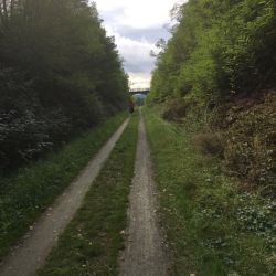 Bayerisch.Böhmischer Freundschaftsradweg