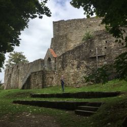 Burgruine Haus Murach