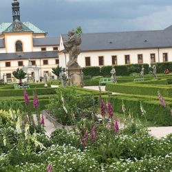 Fingerhut im Kräutergarten
