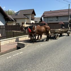 Und sogar Pferdefuhrwerke sind noch unterwegs