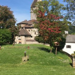 Die Burg von Kipfenberg (in Privatbesitz)