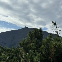 Den Gipfel im Blick
