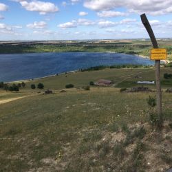 Magerrasenfläche an der Halde ...