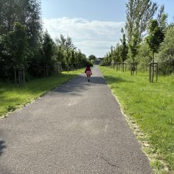 Eine lange Allee führt zu den riesigen Grabfeldern der jüdischen Friedhofs