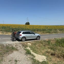 ... mit Blick auf´s Sonnenblumenfeld