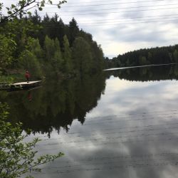 Der Mühlnickelweiher