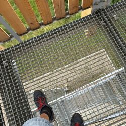 Blick durch das Gitter in die Tiefe