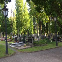 Ein riesiger Friedhof mit uraltem Baumbestand