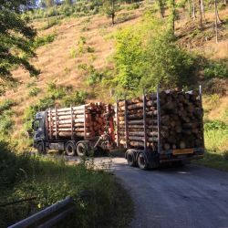 ... um mit solchen Lastern abtransportiert zu werden