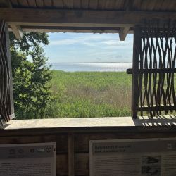 Fenster öffnen und suchen