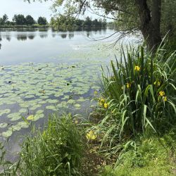 Entlang der Elbe