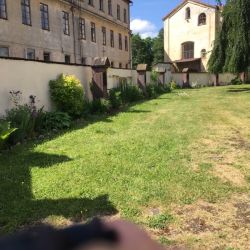 Der Kirchhof