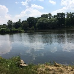 Und hier mündet die Moldau in die Elbe