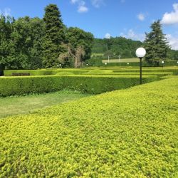 Heckenlabyrinth