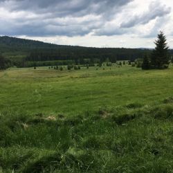 eines der vielen (Hoch)moore