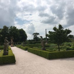 Kräutergarten mit parzellierung durch Buchshecken