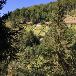 Datschas an den Hängen vom Thüringer Wald