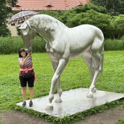 Pferd füttern