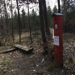 Die Rote Marter im Staatswald