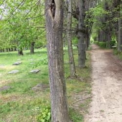 Der Friedhof der Herrnhuter Brüdergemeine
