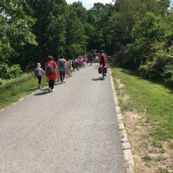 Kleine und große Burgbesucher