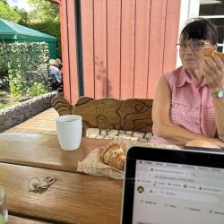 Spatzenbesuch (links hinten auf der Lehne)