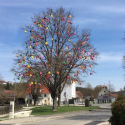 Gießkannenbaum Schmidmühlen