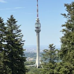 Der Avala Turm