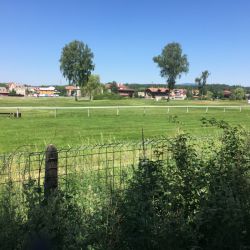 Entlang an der Pferderennbahn